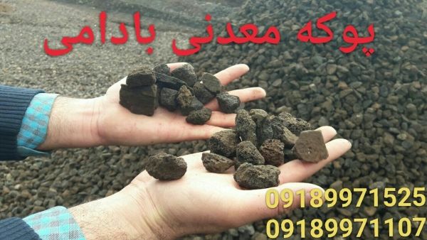 نمایندگی، قیمت روز: پوکه معدنی قروه در شهرستان ها ۱۴۰۱ | بروز رسانی سه شنبه, 25 تیر 1404